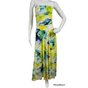 The Limited Strapless Maxi Dress Watercolor Floral
